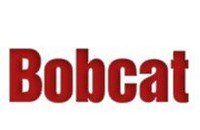 Bobcat