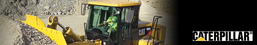 Caterpillar
